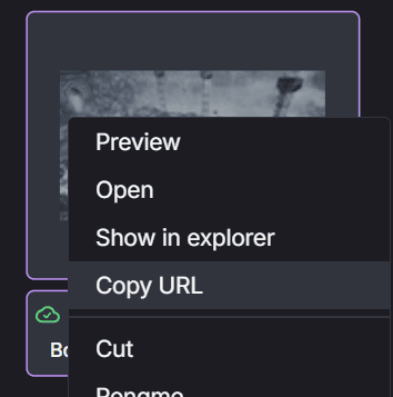 copy file url